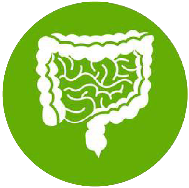 關注職場“腸”態(tài)，守護員工健康——上海格瑞特特邀消化內(nèi)科專家公益系列講座（4）(圖1)