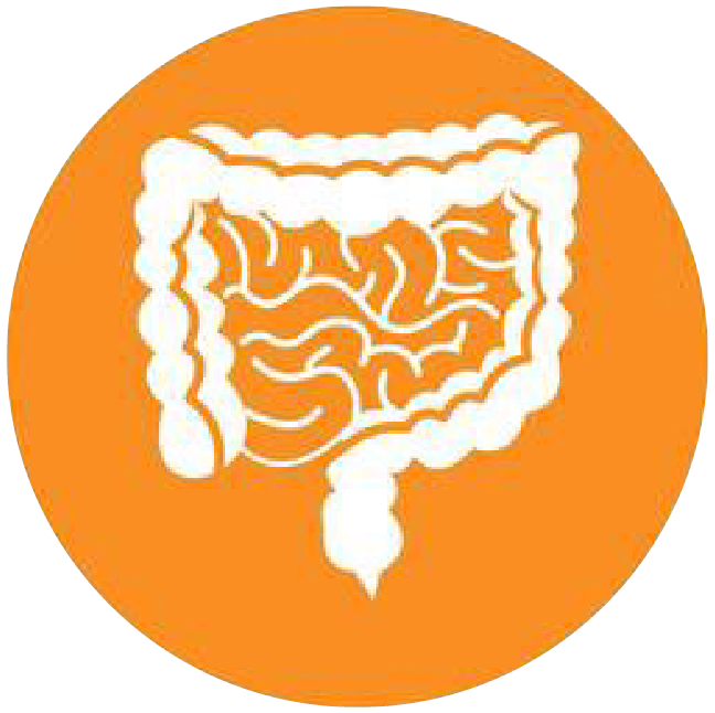 關注職場“腸”態(tài)，守護員工健康——上海格瑞特特邀消化內(nèi)科專家公益系列講座（4）(圖4)