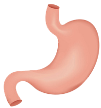 關注職場“腸”態(tài)，守護員工健康——上海格瑞特特邀消化內(nèi)科專家公益系列講座（4）(圖9)